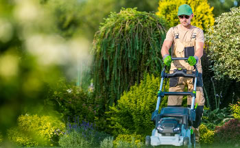 Cortadora de césped profesional en acción