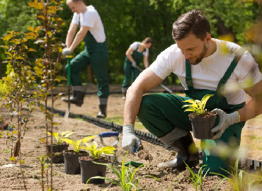 Jardinero plantando arbustos en un jardín ecológico