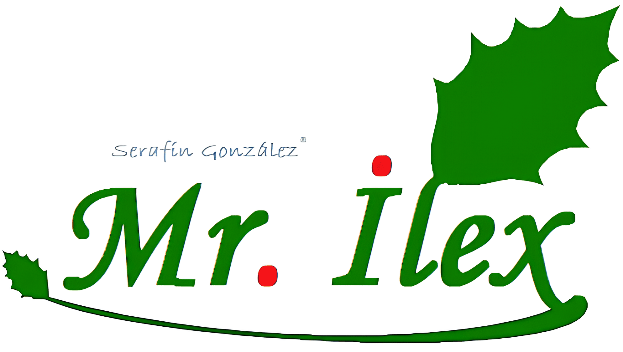 Mr. Ilex